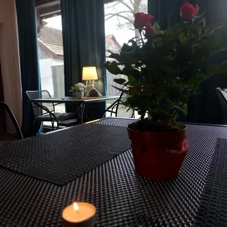 Casa Maria Roses 4* Risnov
