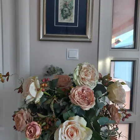 Casa Maria Roses 4* Risnov